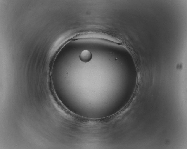 X0000113550101200910021540