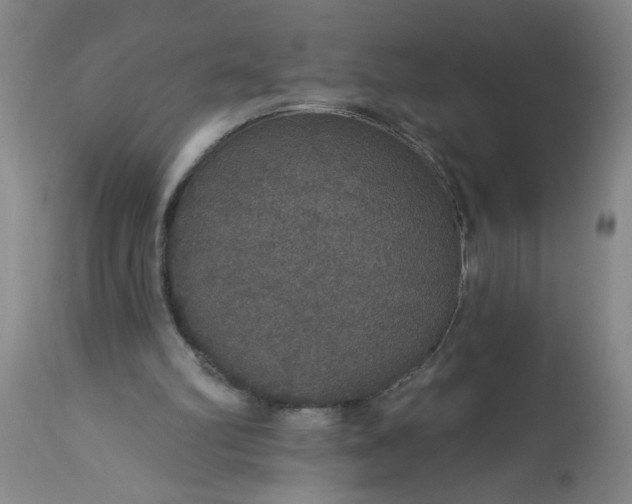 X0000113550102200910021540