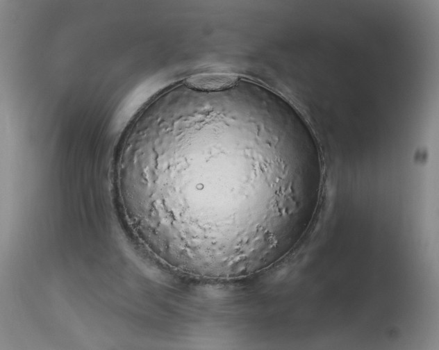 X0000113550103200910021540