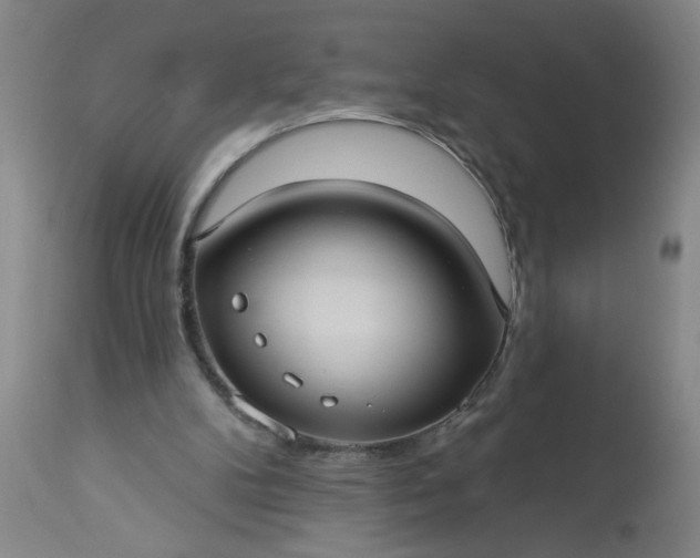 X0000113550104200910021540