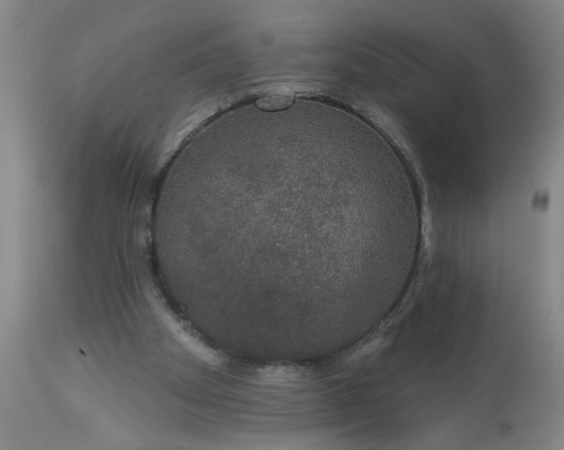 X0000113550105200910021540