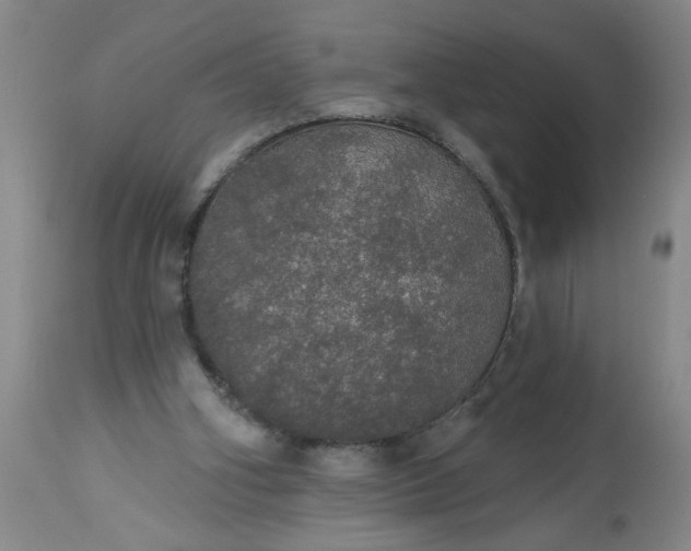 X0000113550106200910021540