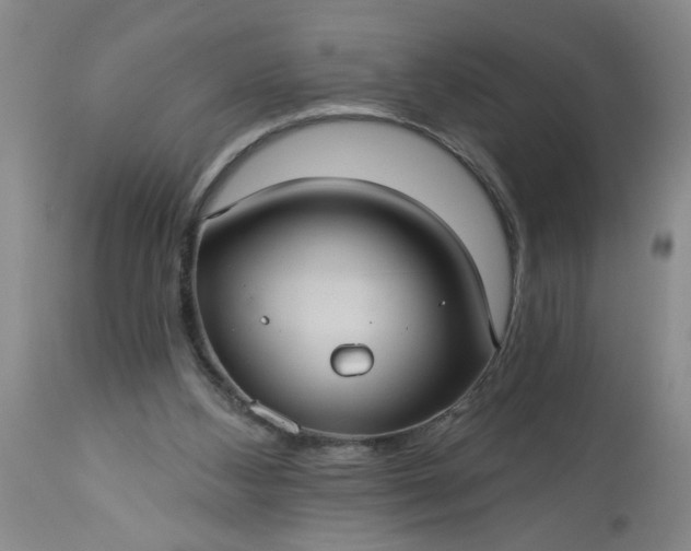 X0000113550108200910021540