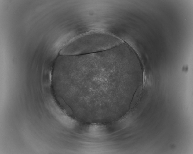 X0000113550109200910021540