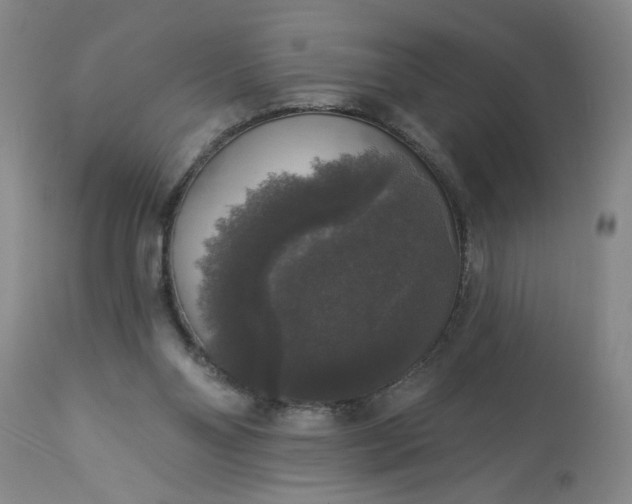 X0000113550110200910021540