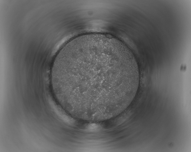 X0000113550111200910021540