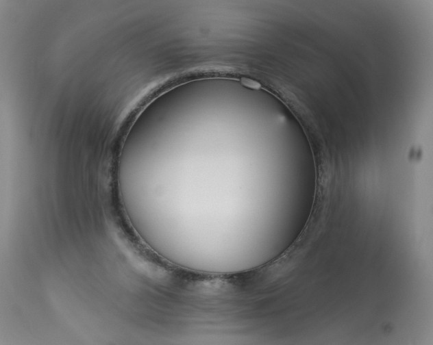 X0000113550112200910021540