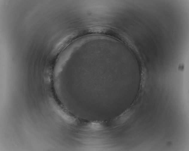 X0000113550114200910021539