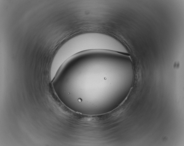 X0000113550117200910021539