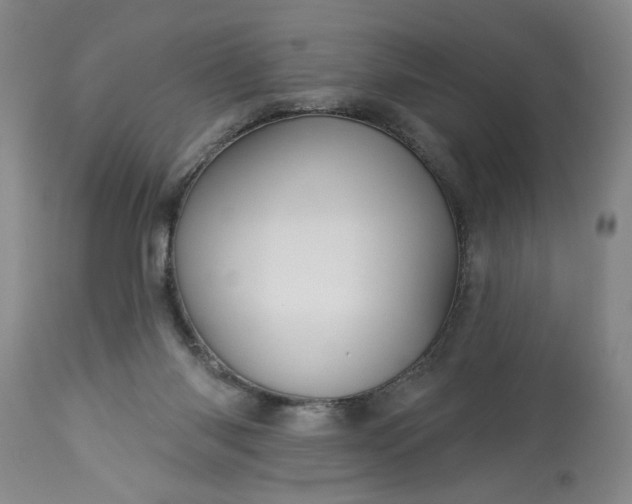 X0000113550118200910021539