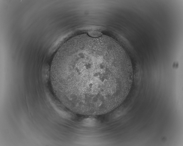 X0000113550119200910021539