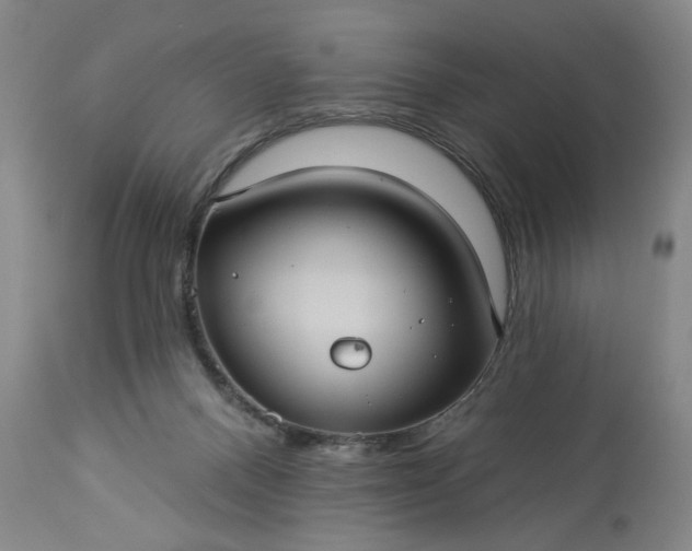 X0000113550120200910021539