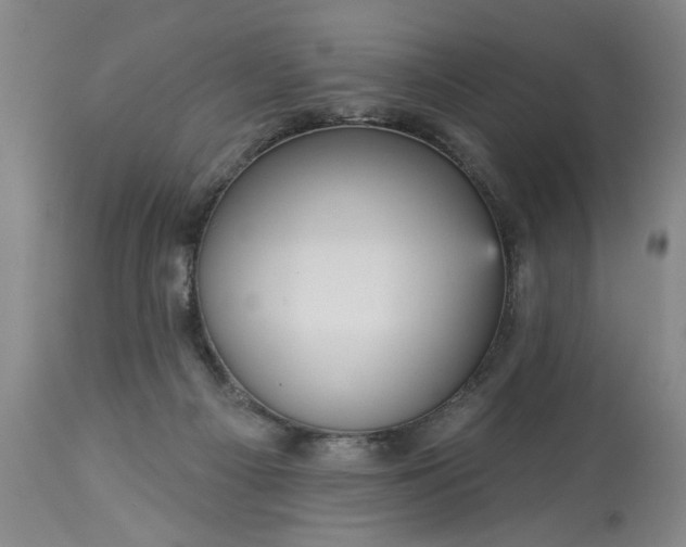 X0000113550121200910021539