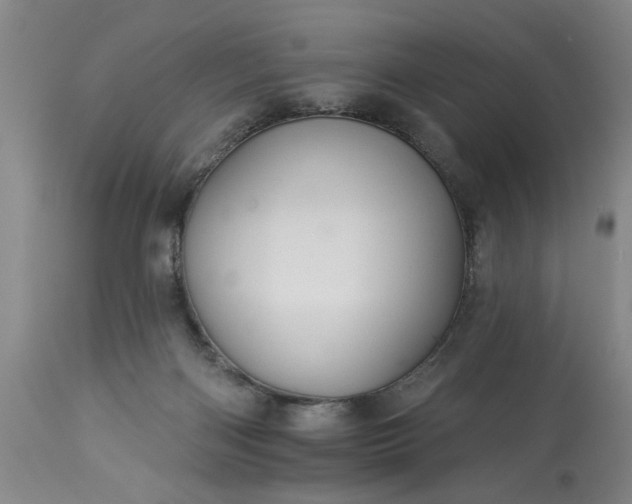 X0000113550122200910021539