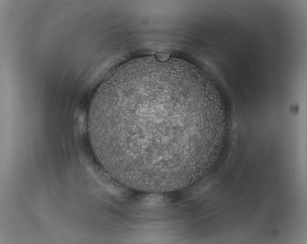 X0000113550123200910021539