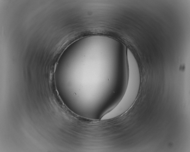 X0000113550124200910021539