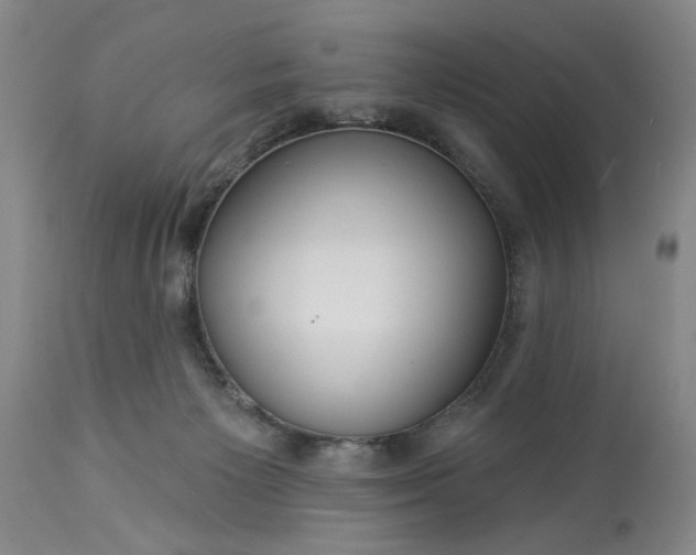 X0000113550125200910021539