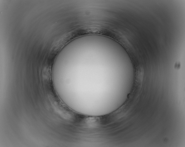 X0000113550126200910021539