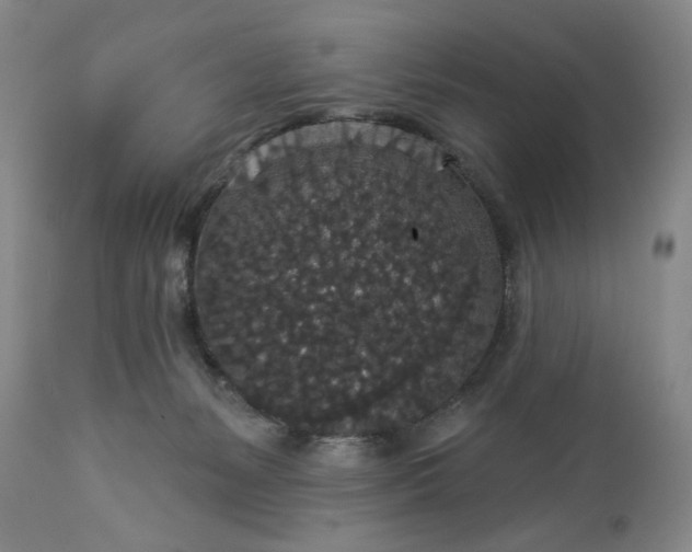 X0000113550127200910021539