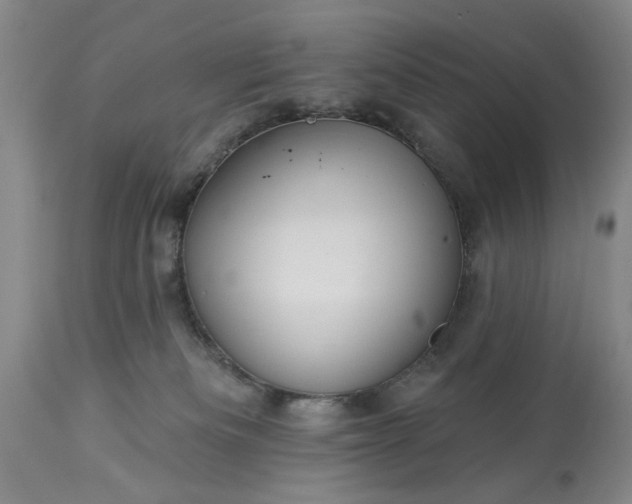 X0000113550133200910021539