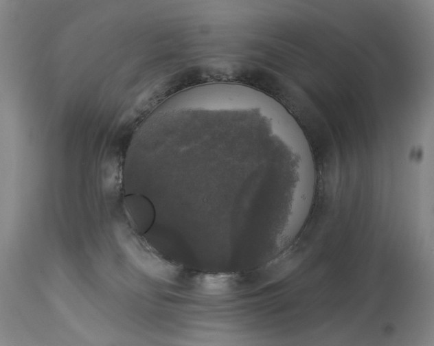 X0000113550134200910021539