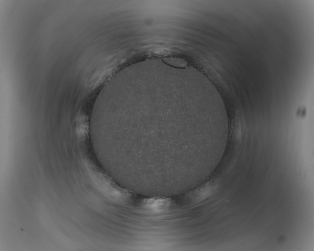 X0000113550135200910021539