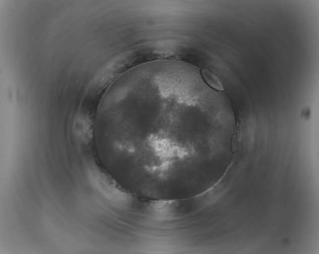 X0000113550136200910021539