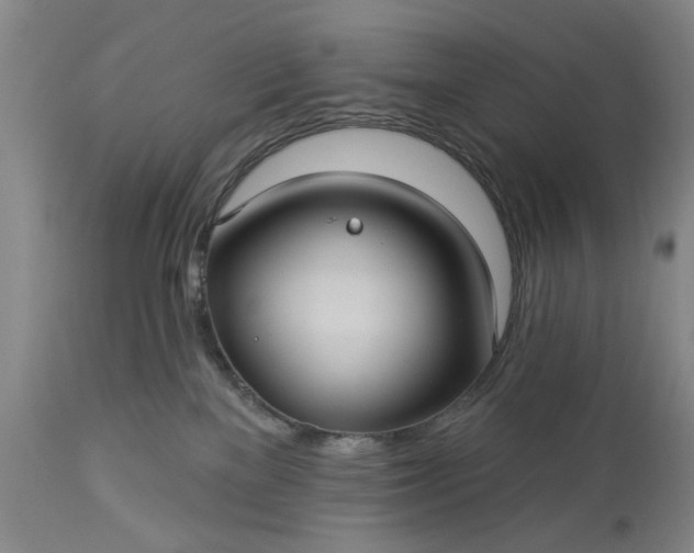 X0000113550137200910021539