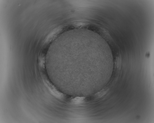 X0000113550138200910021539