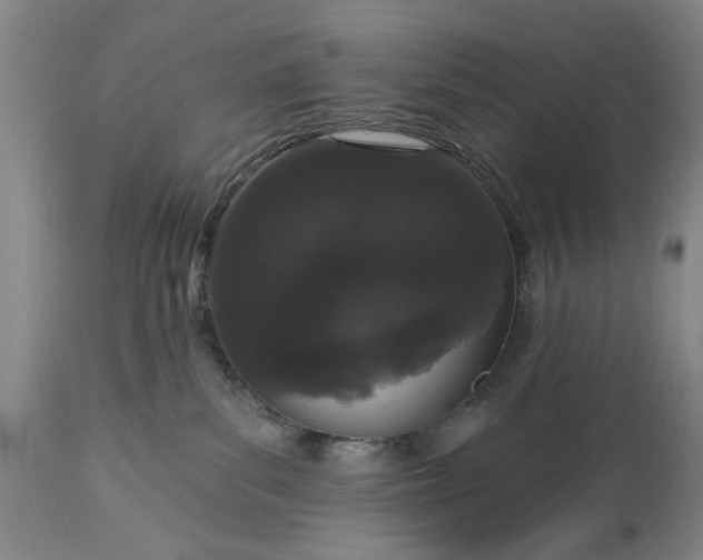 X0000113550139200910021539