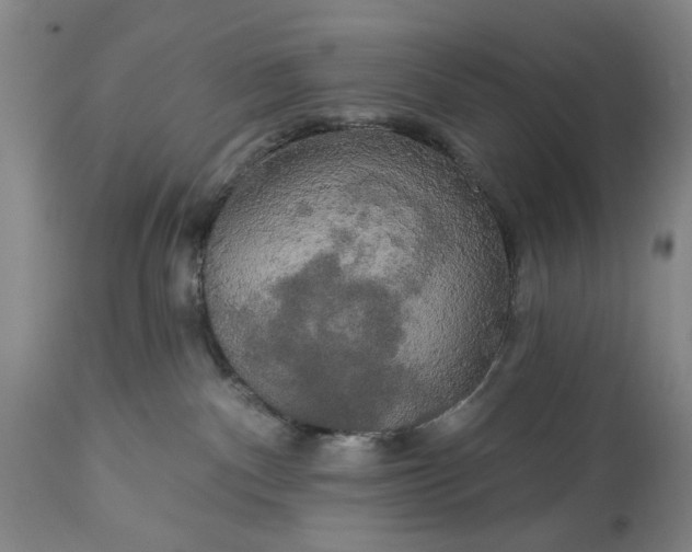 X0000113550140200910021539