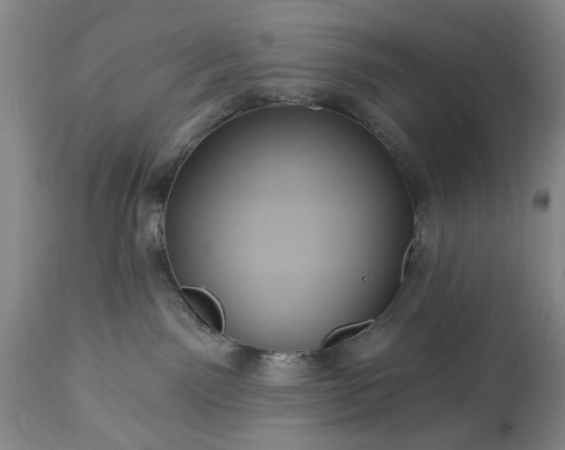 X0000113550141200910021539