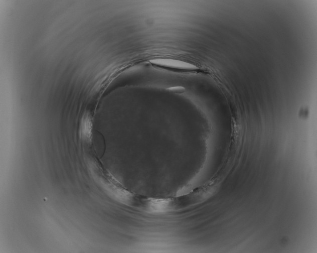 X0000113550143200910021539