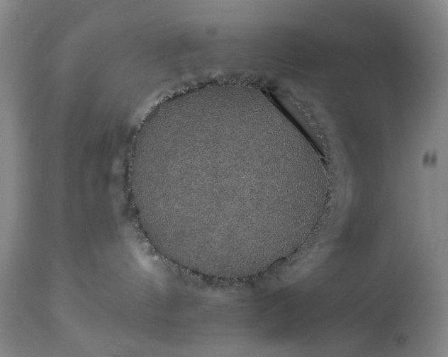 X0000113550144200910021539