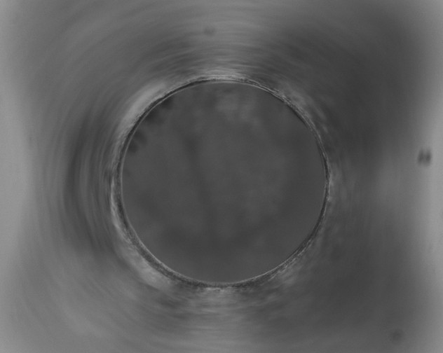 X0000113550145200910021538