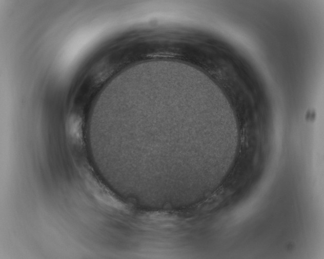 X0000113550146200910021538