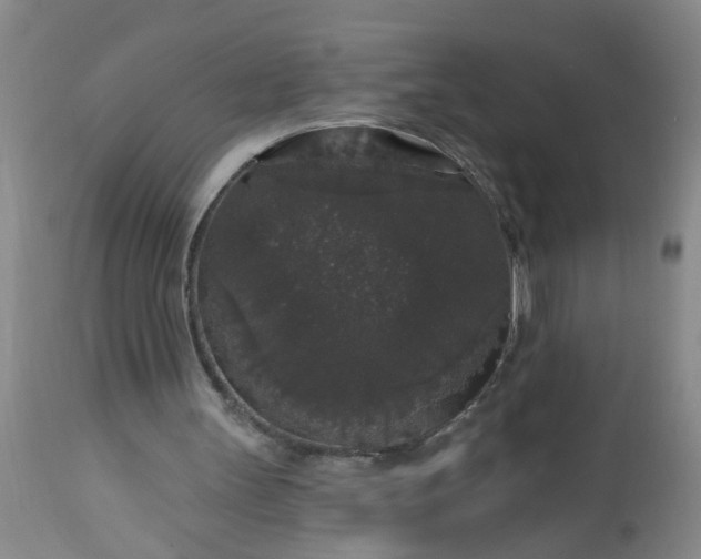 X0000113550147200910021538