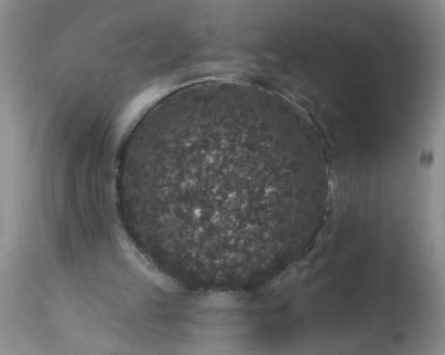 X0000113550149200910021538