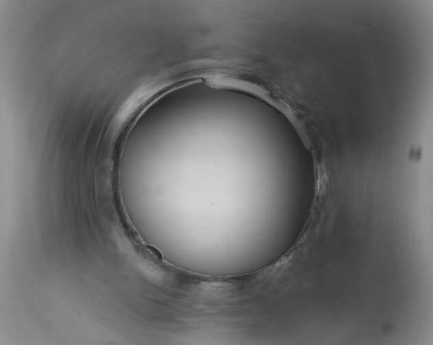 X0000113550150200910021538