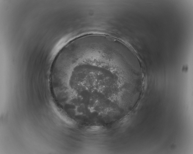 X0000113550151200910021538