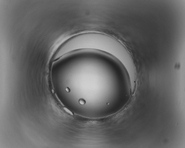 X0000113550152200910021539