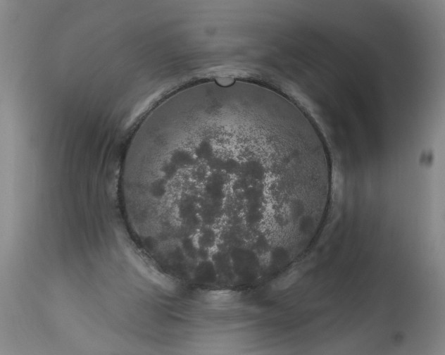 X0000113550153200910021539