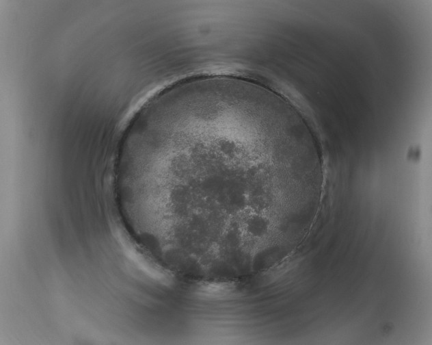 X0000113550155200910021539