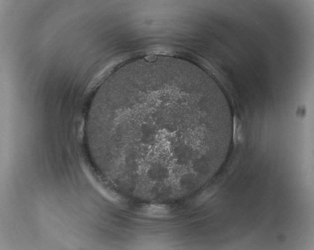 X0000113550157200910021539