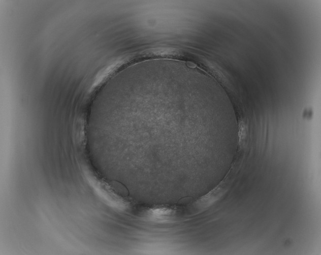 X0000113550158200910021539