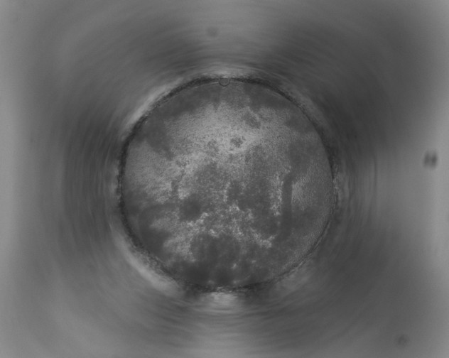 X0000113550159200910021539