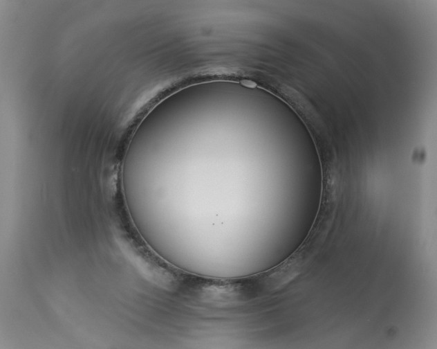 X0000113550160200910021539