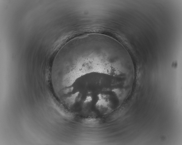 X0000113550161200910021539