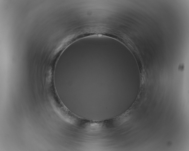 X0000113550163200910021539