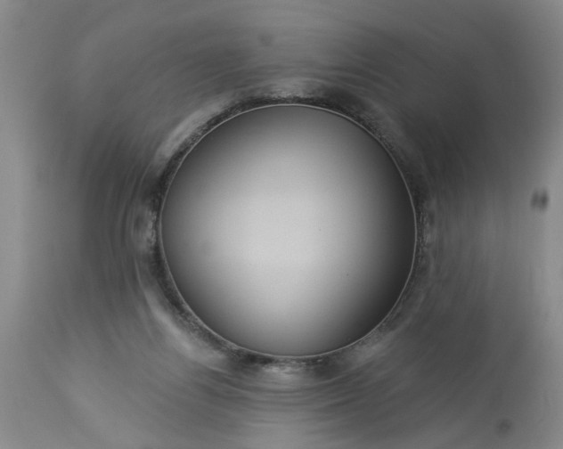 X0000113550164200910021539